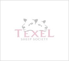 texel-show-blank_118 RWAS.jpg